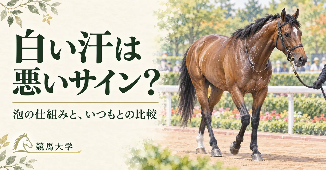パドックの白い汗は悪いサイン？泡の仕組みと「いつも」との比べ方