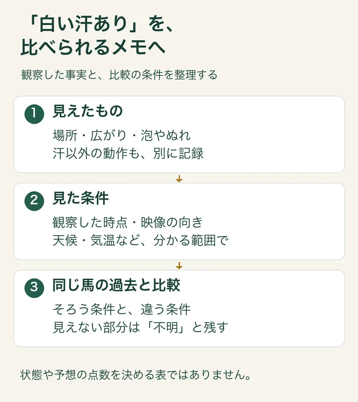 発汗を比べる前に残したい観察項目。見えたもの、見た条件、同じ馬の過去を分けて整理する図。