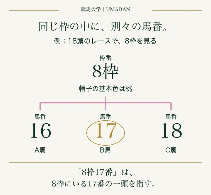 18頭の例。8枠という一つのまとまりに馬番16・17・18の三頭が入り、目的の17番はその中の一頭。枠番と馬番は同じ種類の番号ではない。