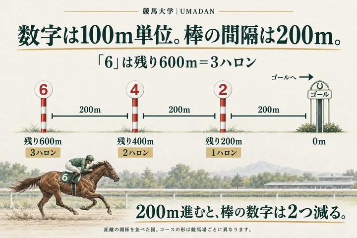 ハロン棒の6・4・2は、それぞれ残り600m・400m・200m。各標識から次の標識、最後の2からゴールまでは各200mで、全体が3ハロンに当たる。