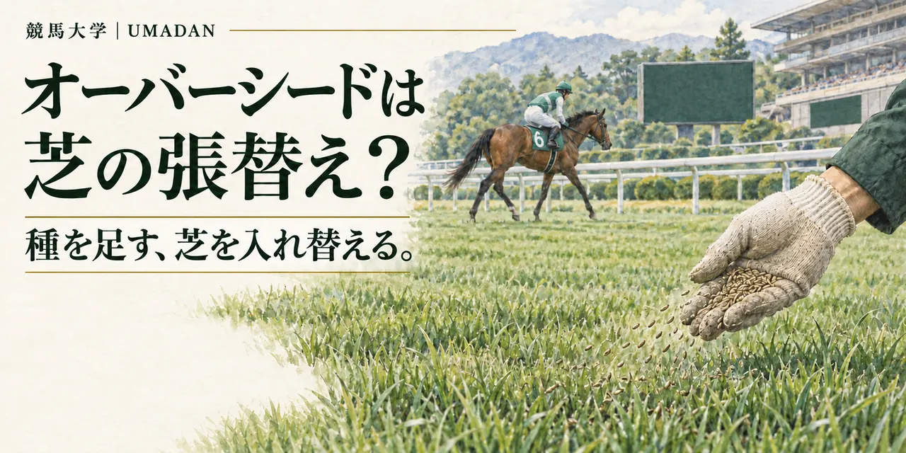オーバーシードは芝の張替え？秋の馬場情報を読む、二つの作業の違い